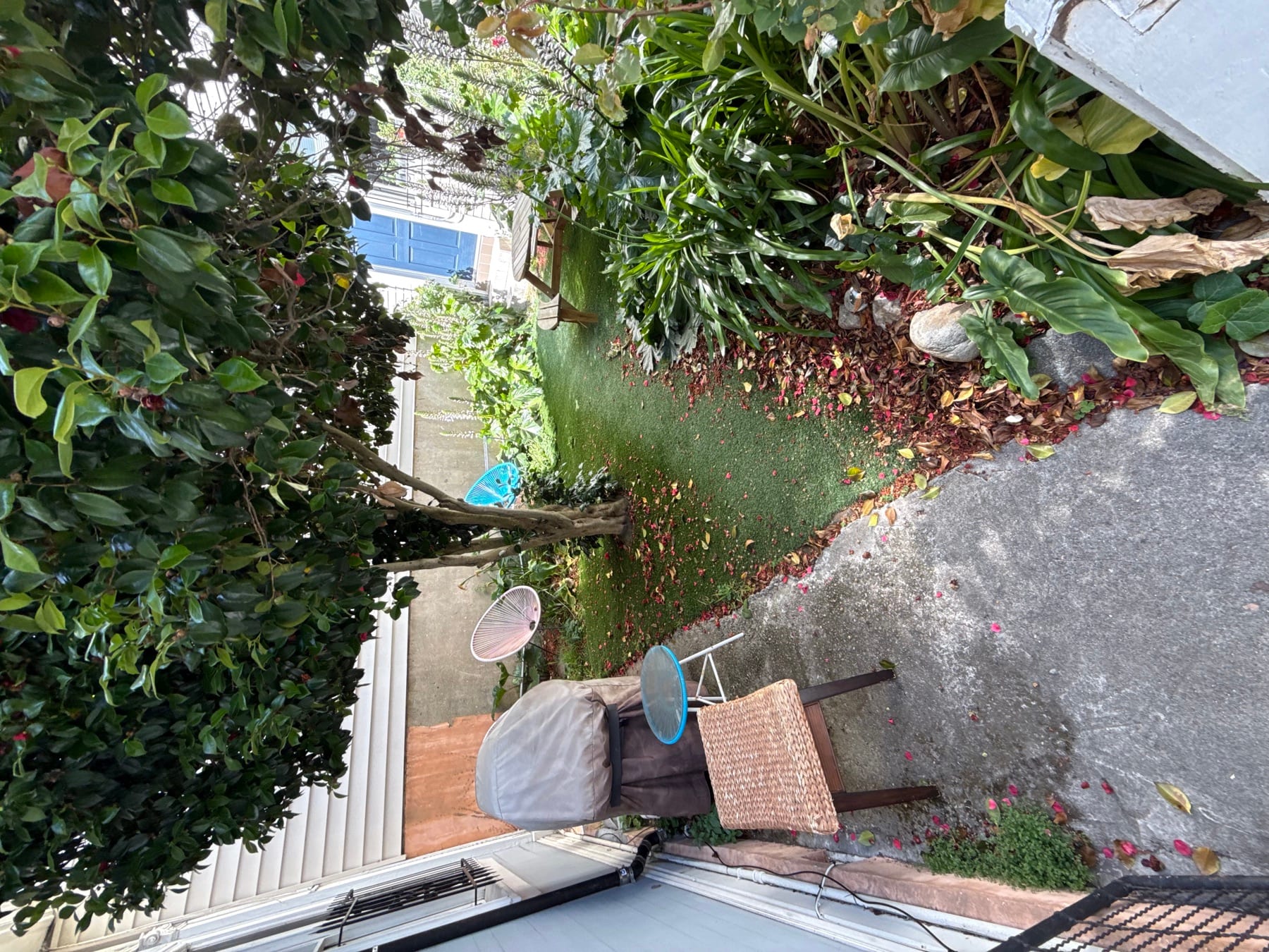 The green Acorn Alley patio and garden